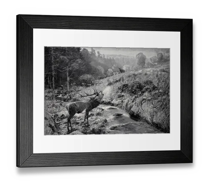 Framed Print : Morning atmosphere in early autumn in the Harz Mountains, roaring stag in rut stands by the stream, Germany, 1898, Historic, digital reproduction of an original 19th century painting, original date unknown Framed Print : Morning atmosphere in early autumn in the Harz Mountains, roaring stag in rut stands by the stream, Germany, 1898, Historic, digital reproduction of an original 19th century painting, original date unknown