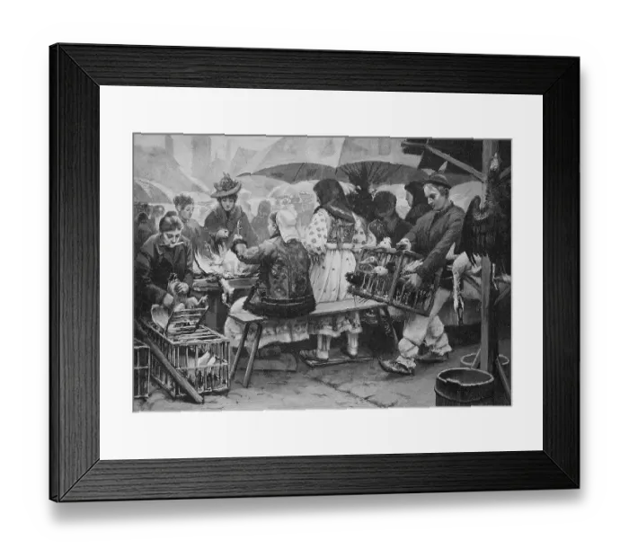 Framed Print : Weekly market in Agram, Zagreb, Croatia, 1888, Historic, digital reproduction of an original 19th-century image, original date unknown Framed Print : Weekly market in Agram, Zagreb, Croatia, 1888, Historic, digital reproduction of an original 19th-century image, original date unknown