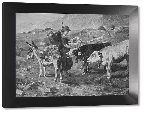 Trader on her tour with a donkey in the mountains, has come across three cows and is stroking them, Austria, 1878, Historic, digital reproduction of an original 19th century painting, original date unknown