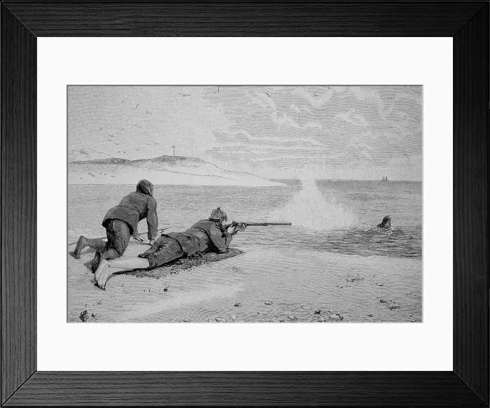 Framed Print : Hunting seals in the Wadden Sea, North Sea, Germany, Historic, digitally restored reproduction of an original from the 19th century Framed Print : Hunting seals in the Wadden Sea, North Sea, Germany, Historic, digitally restored reproduction of an original from the 19th century