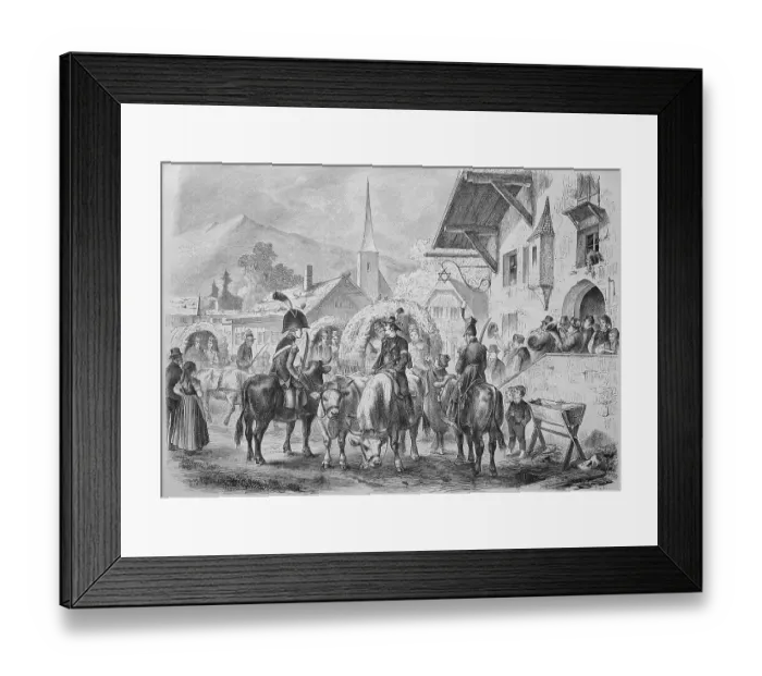 Framed Print : Wedding in a village in Salzburg area, bride and groom with ox team, guests and well-wishers, Austria, Historic, historical, digitally improved reproduction of an original from the 19th century Framed Print : Wedding in a village in Salzburg area, bride and groom with ox team, guests and well-wishers, Austria, Historic, historical, digitally improved reproduction of an original from the 19th century
