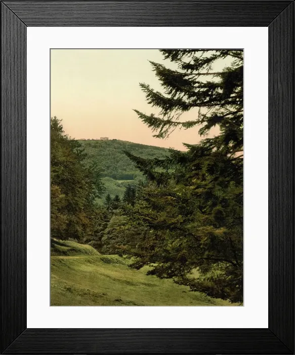 Framed Print : The Inselsberg, in Thuringia, Germany, Historic, digitally restored reproduction of a photochrome print from the 1890s Framed Print : The Inselsberg, in Thuringia, Germany, Historic, digitally restored reproduction of a photochrome print from the 1890s