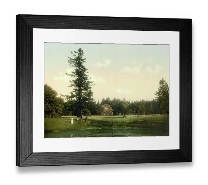 Framed Print : The dance pavilion in Friedrichsrhoda in Thuringia, Germany, Historical, photochrome print from the 1890s Framed Print : The dance pavilion in Friedrichsrhoda in Thuringia, Germany, Historical, photochrome print from the 1890s