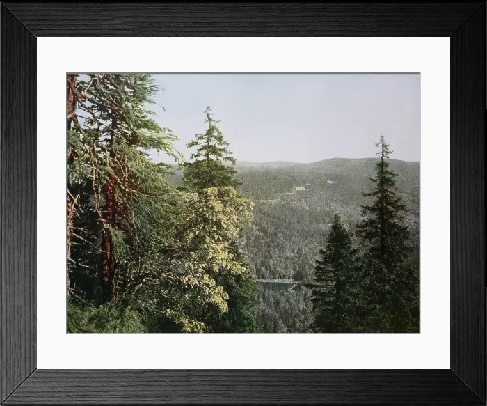 Framed Print : Historic photo around 1880 of Lake Rachel, Bavarian Forest, Bavaria, Germany, historic, digitally restored reproduction of a 19th century original Framed Print : Historic photo around 1880 of Lake Rachel, Bavarian Forest, Bavaria, Germany, historic, digitally restored reproduction of a 19th century original