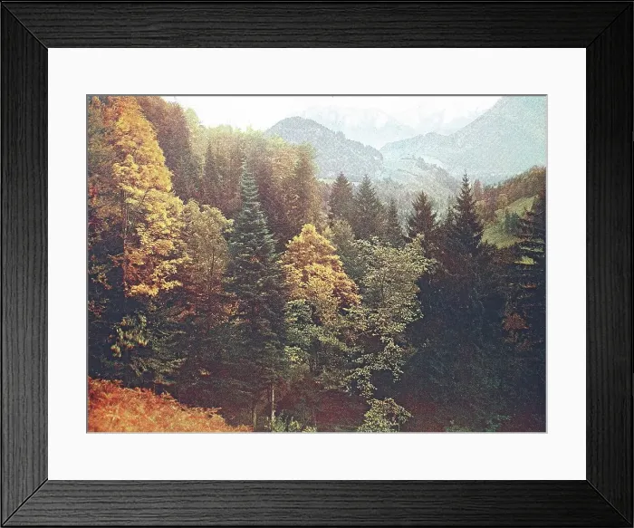 Framed Print : Historical photo around 1880 of the alpine region Tatzelwurm in Bavaria, Germany, historical, digitally restored reproduction of a 19th century original Framed Print : Historical photo around 1880 of the alpine region Tatzelwurm in Bavaria, Germany, historical, digitally restored reproduction of a 19th century original