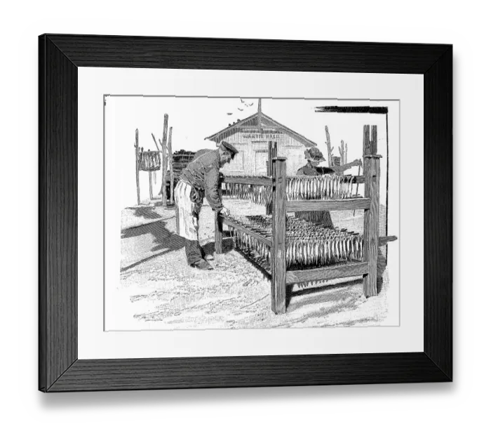 Framed Print : Fishing, processing of fish, here drying in front of smoking, 1880, Kiel, Germany, Historic, digitally restored reproduction of an original 19th century pattern, exact original date unknown Framed Print : Fishing, processing of fish, here drying in front of smoking, 1880, Kiel, Germany, Historic, digitally restored reproduction of an original 19th century pattern, exact original date unknown