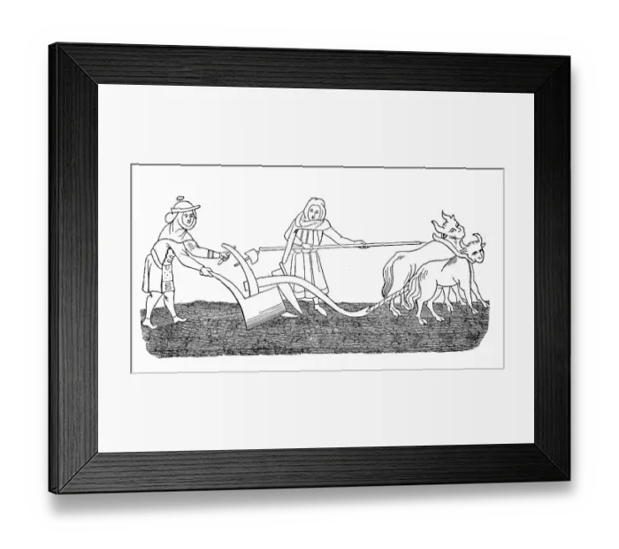 Framed Print : Cultivated state in the 12th century, field work ploughing with an ox team, agriculture, after a picture in the manuscript of the Hortus deliciarum of Herrad of Landsberg, Germany, Historic Framed Print : Cultivated state in the 12th century, field work ploughing with an ox team, agriculture, after a picture in the manuscript of the Hortus deliciarum of Herrad of Landsberg, Germany, Historic