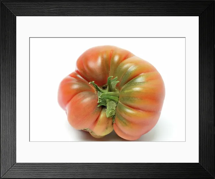 Framed Print : Ripe tomato of the Cuore di bue variety, oxheart tomato, beef tomato from Liguria, Italy Framed Print : Ripe tomato of the Cuore di bue variety, oxheart tomato, beef tomato from Liguria, Italy
