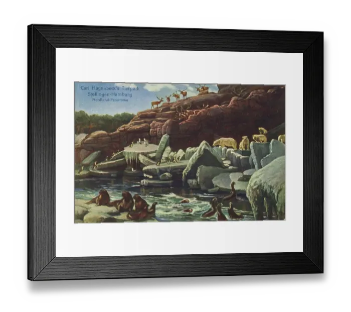 Framed Print : Nordlandpanorama in Tierpark Hagenbeck, Hamburg, Germany, postcard with text, view around ca 1910, historical, digital reproduction of a historical postcard, public domain, from that time, exact date unknown Framed Print : Nordlandpanorama in Tierpark Hagenbeck, Hamburg, Germany, postcard with text, view around ca 1910, historical, digital reproduction of a historical postcard, public domain, from that time, exact date unknown