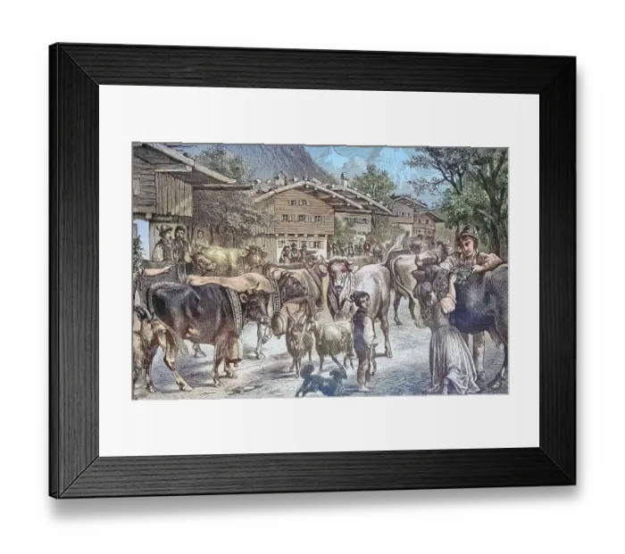 Framed Print : Driving up the cows to the Senner Alpe, Almauftrieb, Allgaeu, Bavaria, Germany, Historic, digitally restored reproduction from a 19th-century original Framed Print : Driving up the cows to the Senner Alpe, Almauftrieb, Allgaeu, Bavaria, Germany, Historic, digitally restored reproduction from a 19th-century original