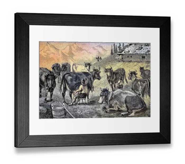 Framed Print : Milking the cows at an alpine hut in Allgaeu, Bavaria, Germany, Historic, digitally restored reproduction from a 19th century original Framed Print : Milking the cows at an alpine hut in Allgaeu, Bavaria, Germany, Historic, digitally restored reproduction from a 19th century original
