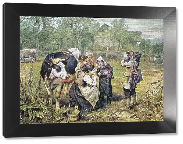 Savoyard children with cow, Savoy, France, historical wood engraving, c. 1880, digitally restored reproduction of a 19th century original, exact original date not known, coloured