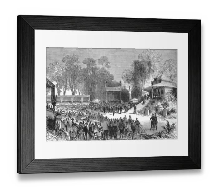 Framed Print : Journey of Their Majesties the Emperor Napoleon III and the Empress to Rouen, 1868, France, Distribution of Awards at the agriculture Contest, Historical, digitally restored reproduction of a 19th century original, exact original date not known Framed Print : Journey of Their Majesties the Emperor Napoleon III and the Empress to Rouen, 1868, France, Distribution of Awards at the agriculture Contest, Historical, digitally restored reproduction of a 19th century original, exact original date not known