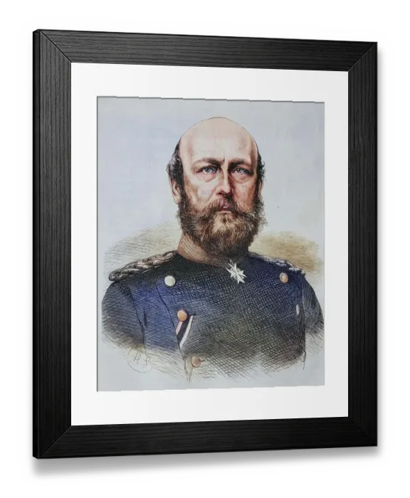 Framed Print : Friedrich Franz II, Grand Duke of Mecklenburg-Schwerin, illustrated war history, German, French war 1870-1871, Germany, France Framed Print : Friedrich Franz II, Grand Duke of Mecklenburg-Schwerin, illustrated war history, German, French war 1870-1871, Germany, France
