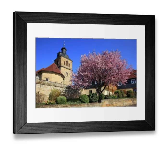 Framed Print : Saint Michaels Church of Mainroth, in front of it flowering Japanese ornamental cherry, Prunus serrulata, Burgkunstadt, Lichtenfels district, Upper Franconia, Bavaria, Germany Framed Print : Saint Michaels Church of Mainroth, in front of it flowering Japanese ornamental cherry, Prunus serrulata, Burgkunstadt, Lichtenfels district, Upper Franconia, Bavaria, Germany