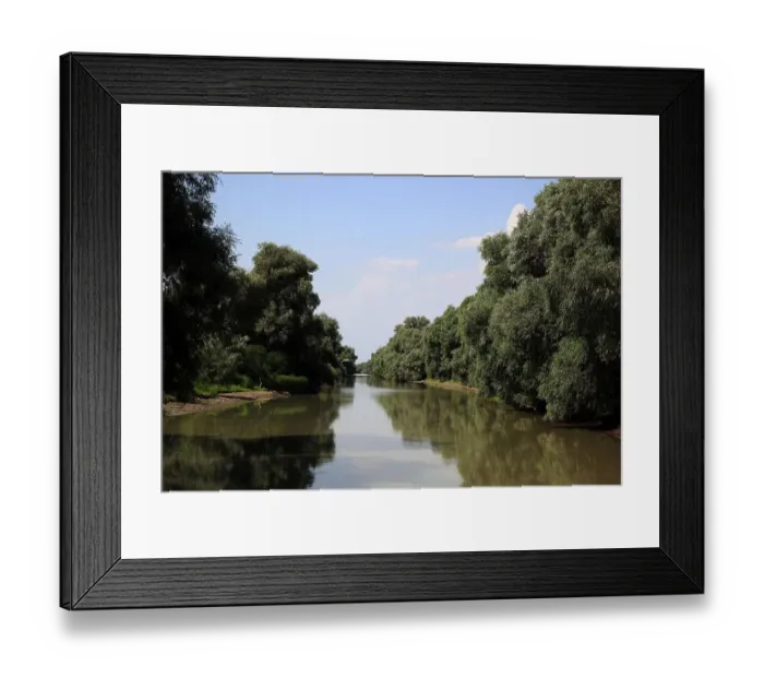 Framed Print : Danube Delta Biosphere Reserve, near Tulcea, Romania