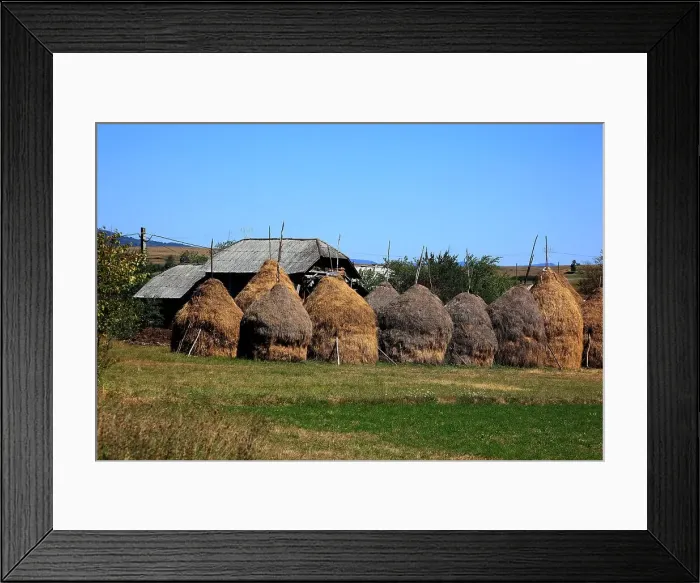 Framed Print : Farming in the Maramures, Romania, traditional haystacks Framed Print : Farming in the Maramures, Romania, traditional haystacks