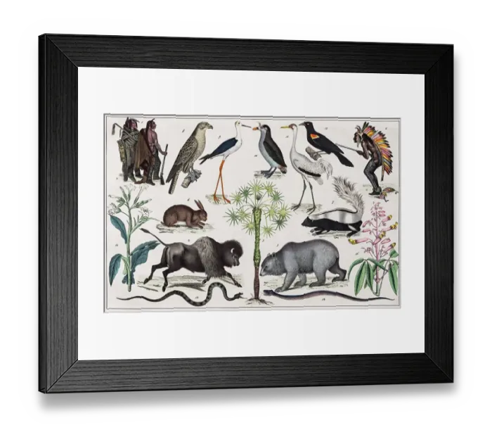 Framed Print : Zone painting North America, Indianerland, New Mexico, California, from natural history and ethnology, hand-coloured plate by Traugott Bromme, Stuttgart 1846 Framed Print : Zone painting North America, Indianerland, New Mexico, California, from natural history and ethnology, hand-coloured plate by Traugott Bromme, Stuttgart 1846
