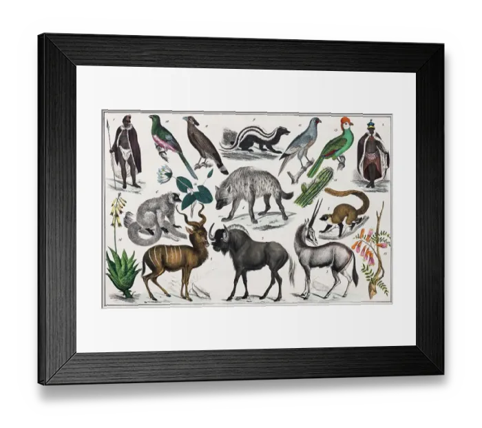 Framed Print : Zone painting, South Africa, Madagascar, Ethiopian archipelago, volcanic islands of the East, from natural history and ethnology, hand-coloured plate by Traugott Bromme, Stuttgart 1846