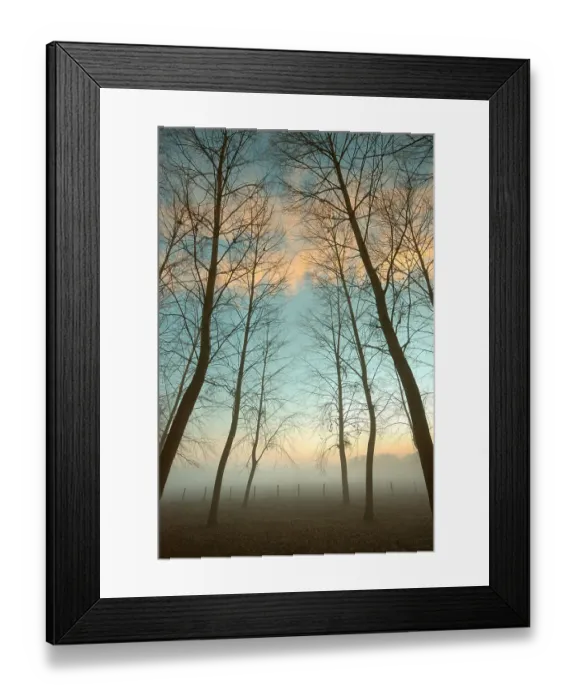 Framed Print : The field in the mist Framed Print : The field in the mist