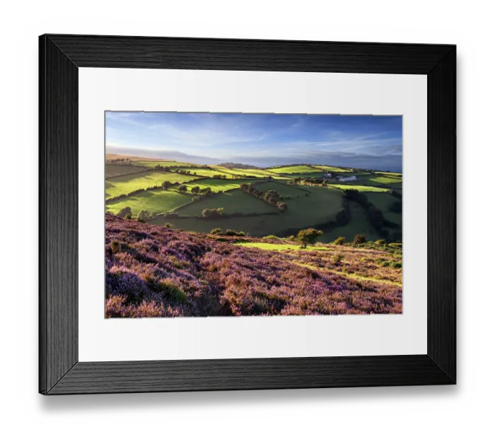 Framed Print : Heather Coast Framed Print : Heather Coast