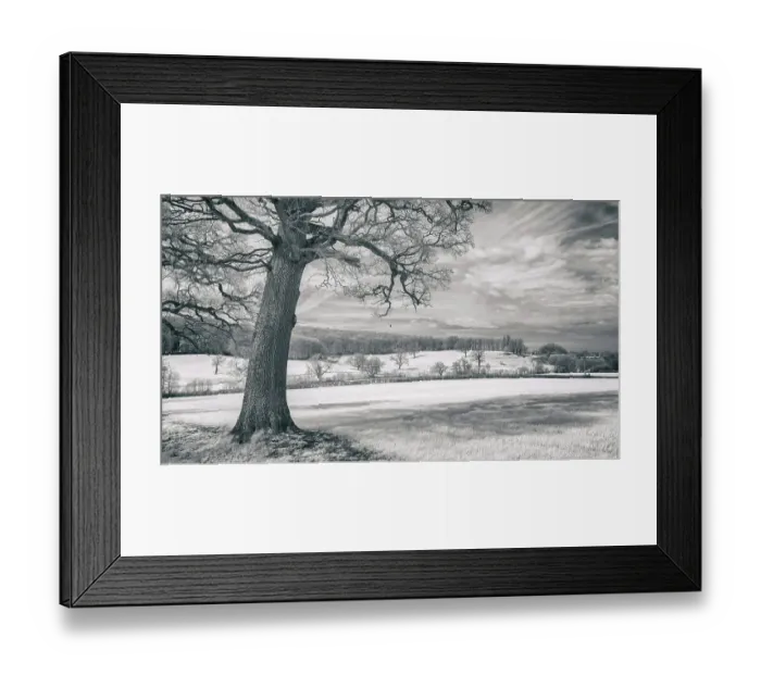 Framed Print : Somerset Downs