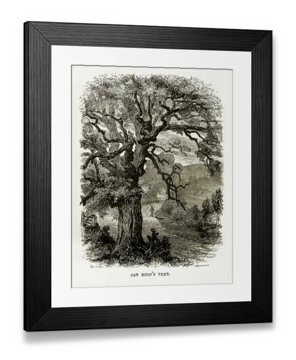Framed Print : Jan Ridd's Tree, Exmoor, England Victorian Engraving, 1840