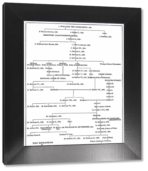 Old engraved diagram of the English monarchs family tree (1087 to 1899)
