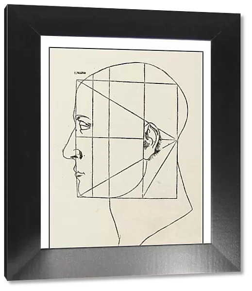 Leonardo's sketches and drawings: man head sketch