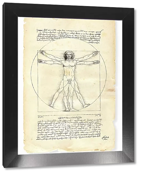 Vitruvian man painted by Leonardo da Vinci from 1492
