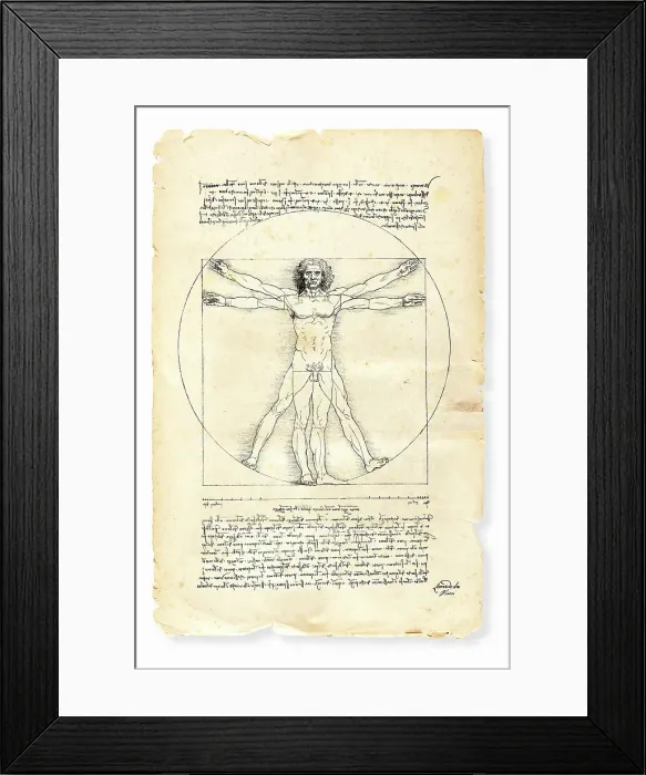 Framed Print : Vitruvian man painted by Leonardo da Vinci from 1492 Framed Print : Vitruvian man painted by Leonardo da Vinci from 1492