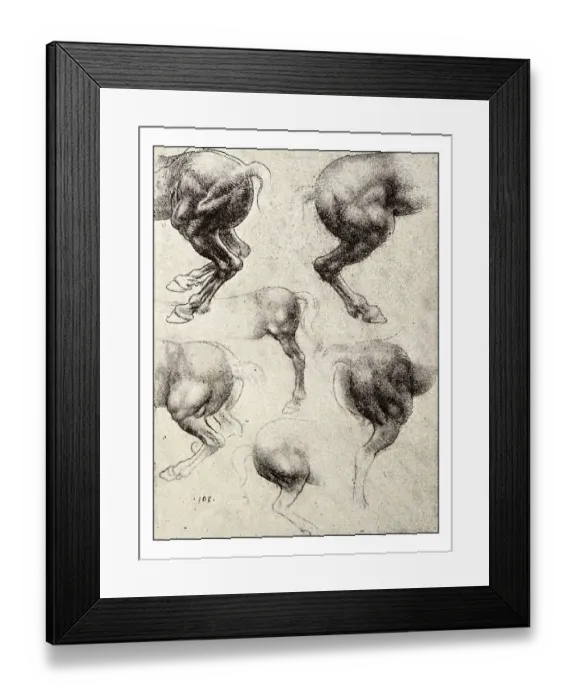 Framed Print : Leonardo's sketches and drawings: horse Framed Print : Leonardo's sketches and drawings: horse