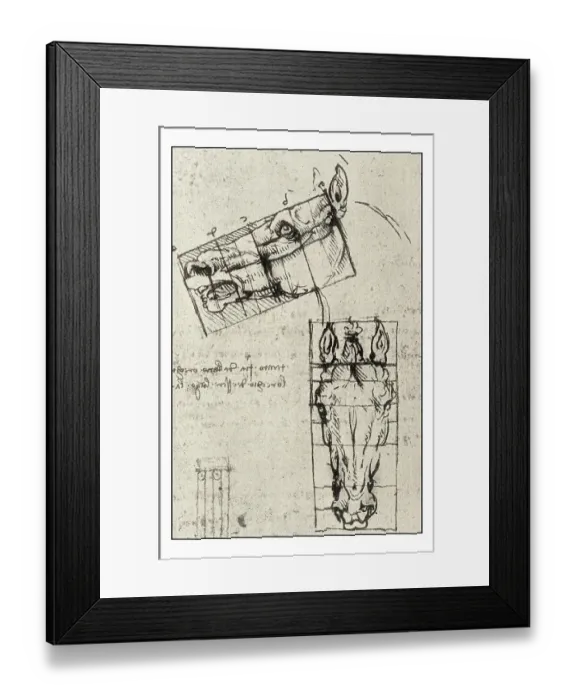 Framed Print : Leonardo's sketches and drawings: horse Framed Print : Leonardo's sketches and drawings: horse