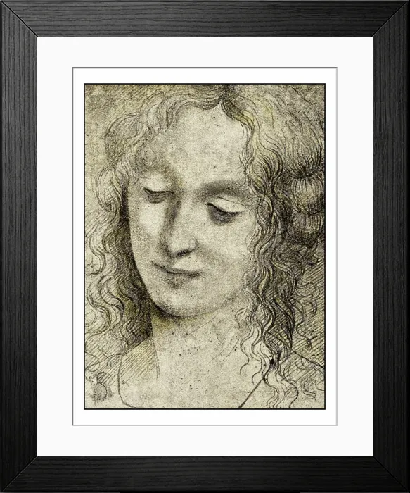 Framed Print : Leonardo's sketches and drawings: Virgin of Virgin of the Rocks Framed Print : Leonardo's sketches and drawings: Virgin of Virgin of the Rocks