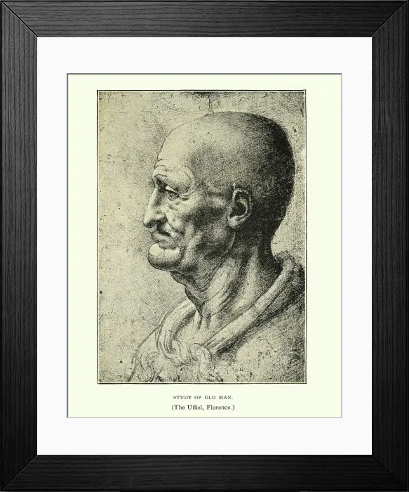 Framed Print : Study of an old man, Leonardo Da Vinci Framed Print : Study of an old man, Leonardo Da Vinci