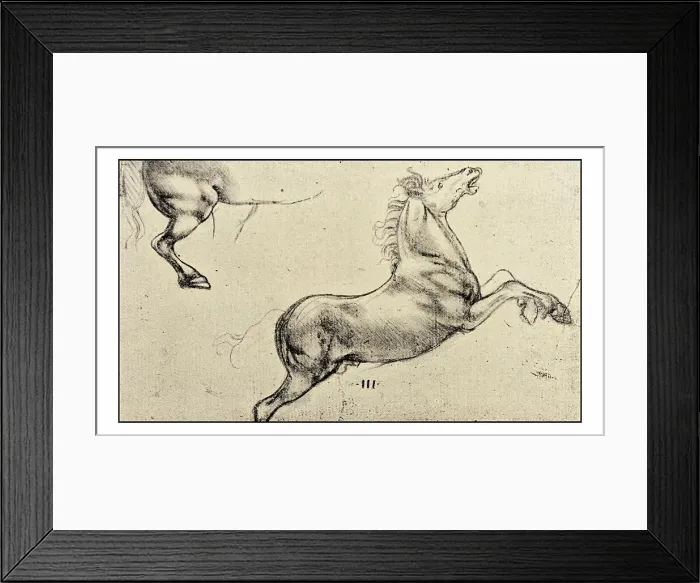 Framed Print : Leonardo's sketches and drawings: horse Framed Print : Leonardo's sketches and drawings: horse
