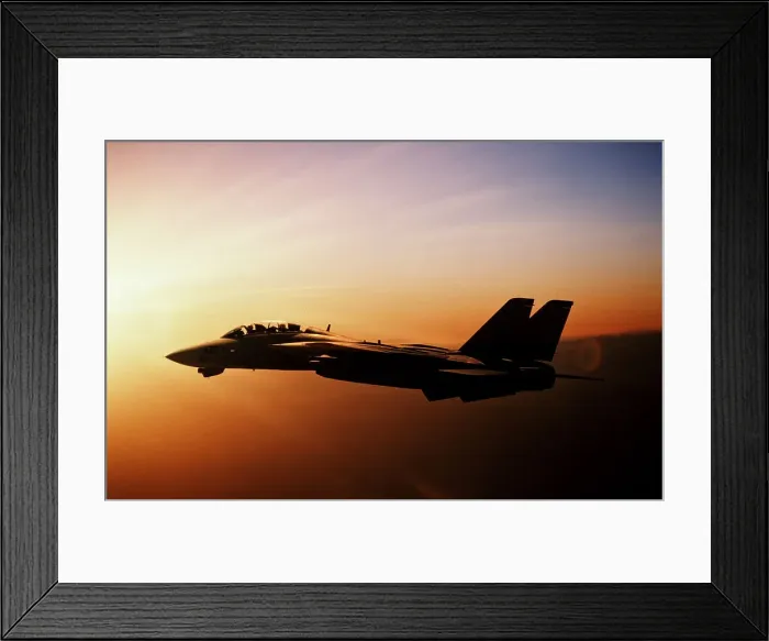 Framed Print : U. S. Navy Northrop Grumman F-14D Super Tomcat Framed Print : U. S. Navy Northrop Grumman F-14D Super Tomcat