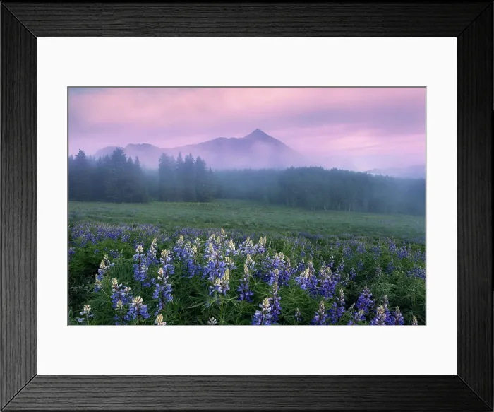 Framed Print : Colorado Fairyland Framed Print : Colorado Fairyland