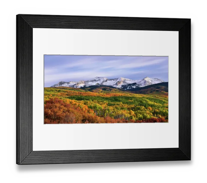 Framed Print : Carpet of Autumn Framed Print : Carpet of Autumn