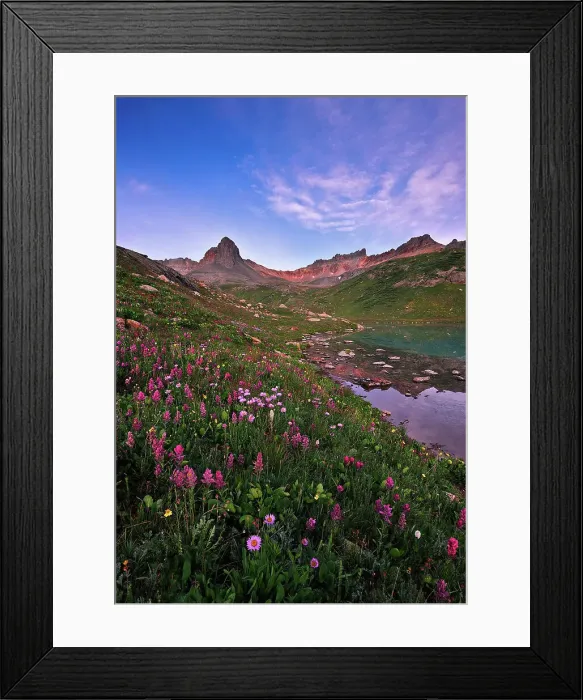 Framed Print : Wild Flowers at Ice Lake Basin Framed Print : Wild Flowers at Ice Lake Basin