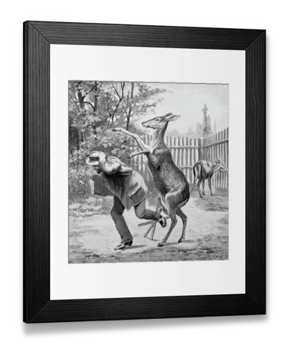 Framed Print : Painter in the zoo is attacked by a standing deer, man trying to escape, runs Framed Print : Painter in the zoo is attacked by a standing deer, man trying to escape, runs