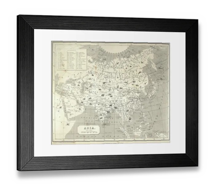 Framed Print : Big Game hunting Antquie map of Asia, showing locations of animals, Victorian 1860s, 19th Century Framed Print : Big Game hunting Antquie map of Asia, showing locations of animals, Victorian 1860s, 19th Century