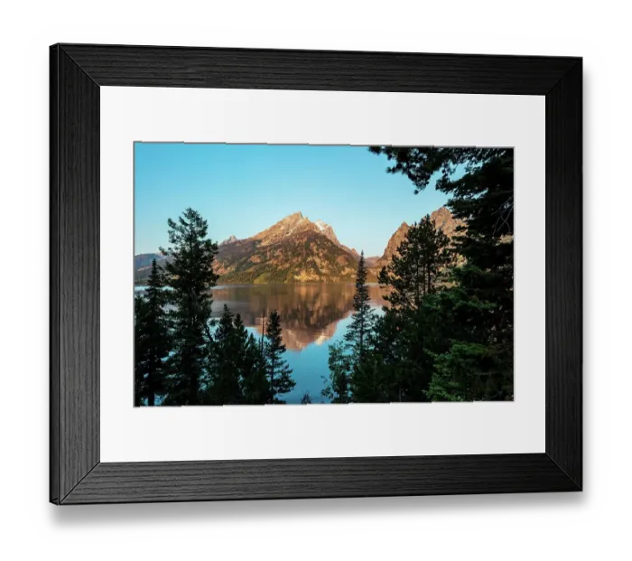 Framed Print : Through the Trees to Jenny Lake Framed Print : Through the Trees to Jenny Lake