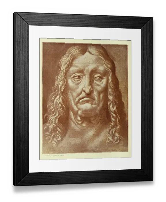 Framed Print : Drawing by Leonardo da Vinci, head of an old man, sad facial expression, renaissance art