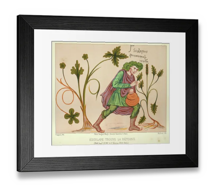Framed Print : Asclepius finding the Betony, a hero and god of medicine in ancient Greek religion and mythology, 9th Century art Framed Print : Asclepius finding the Betony, a hero and god of medicine in ancient Greek religion and mythology, 9th Century art