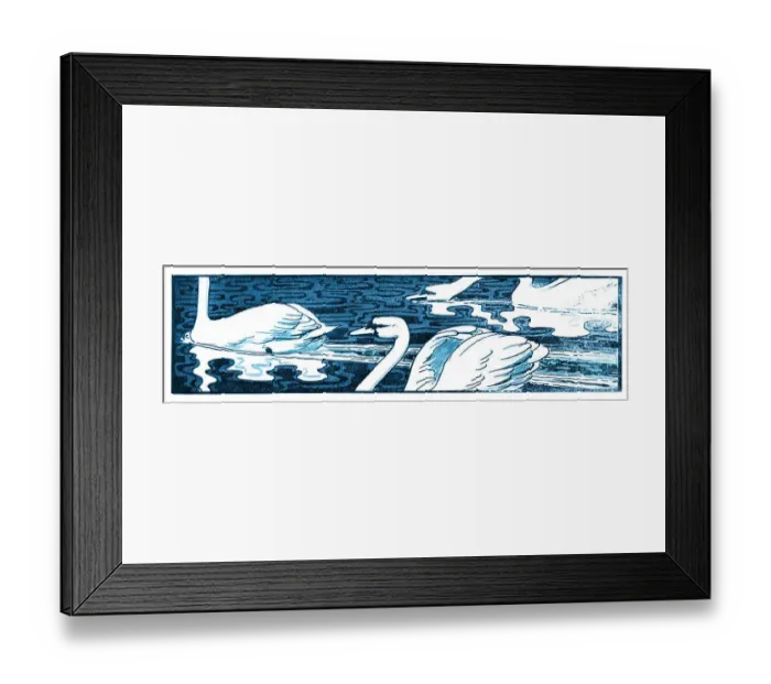 Framed Print : White swan swimming in lake art nouveau 1896 Framed Print : White swan swimming in lake art nouveau 1896