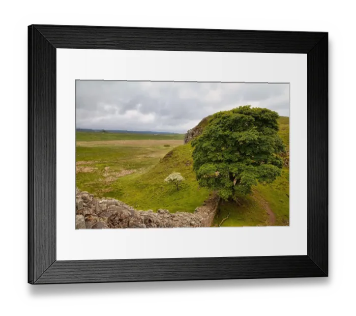 Framed Print : Sycamore Gap, Hadrian's Wall, UNESCO World Heritage Site, Henshaw, Hexham, Northumberland, England, United Kingdom