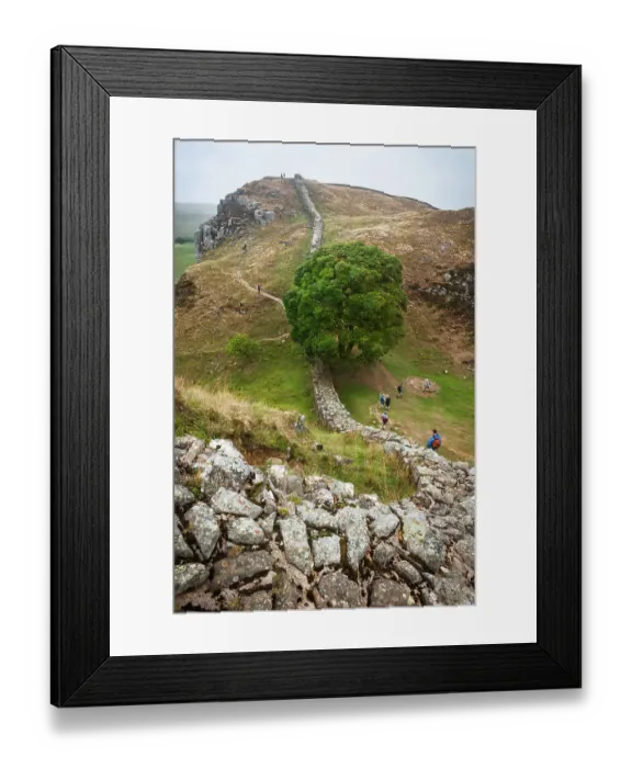 Framed Print : Sycamore Gap, Hadrian's Wall, Northumberland, England Framed Print : Sycamore Gap, Hadrian's Wall, Northumberland, England