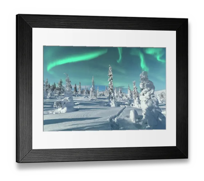 Framed Print : Aurora Borealis on icy trees, Lapland, Finland