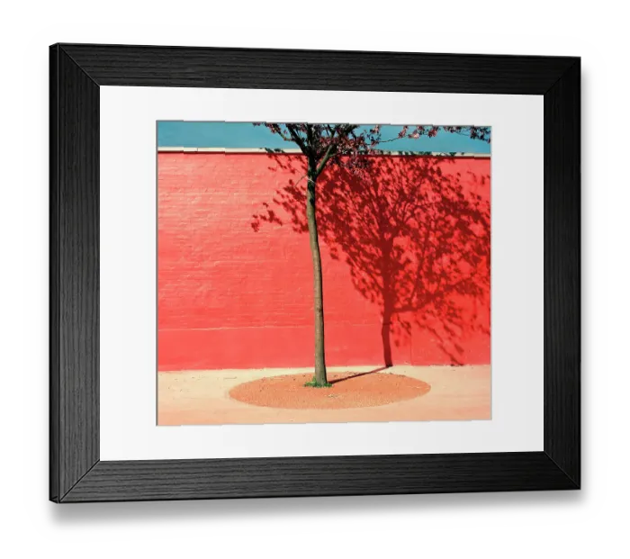 Framed Print : Tree by red wall